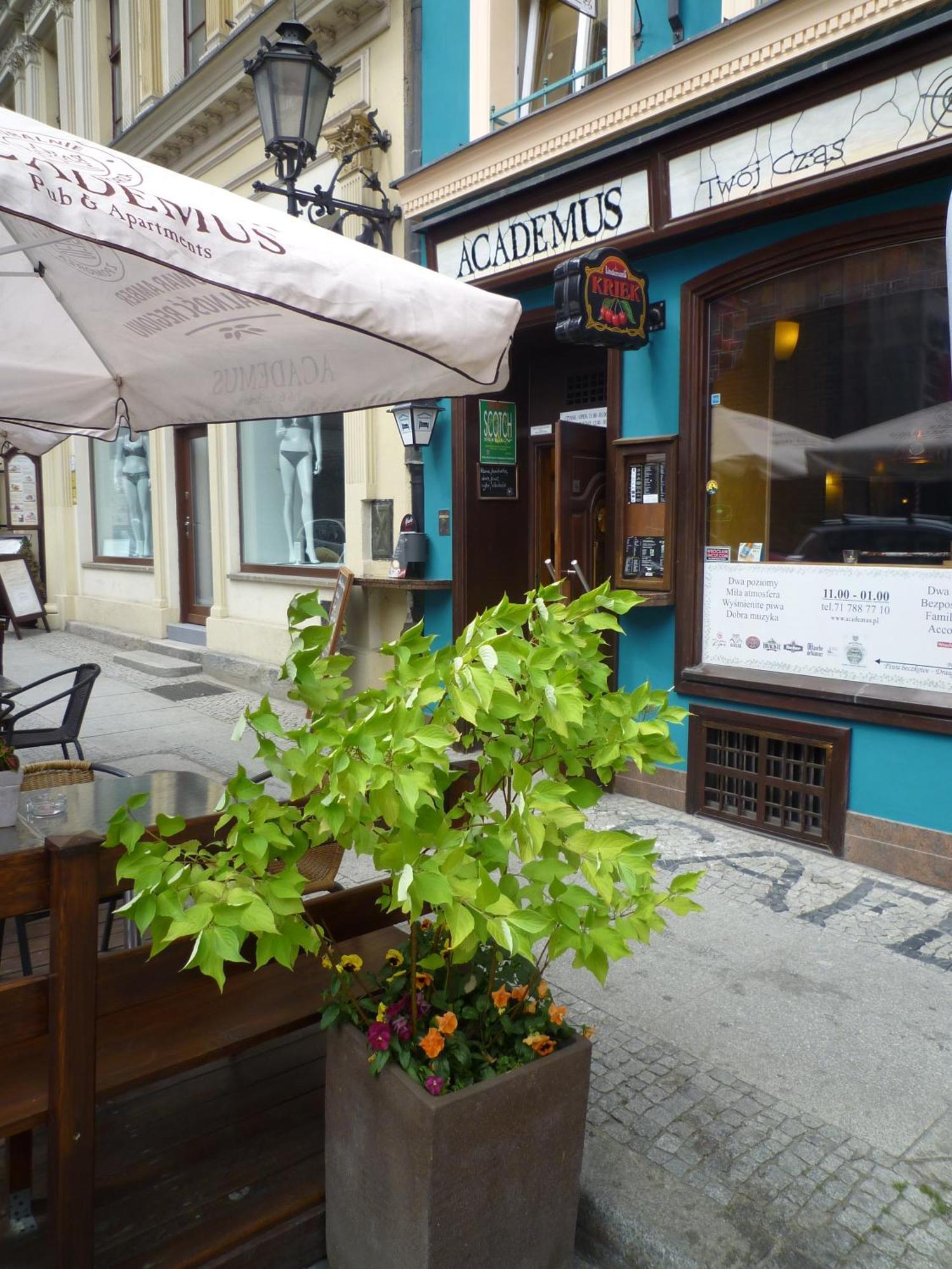 Academus Pub & Guest House Wroclaw Bagian luar foto